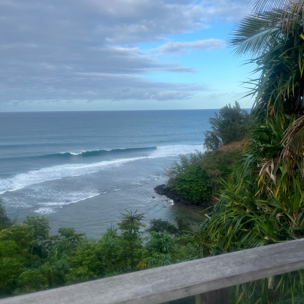 Meet your Posher, Charlene